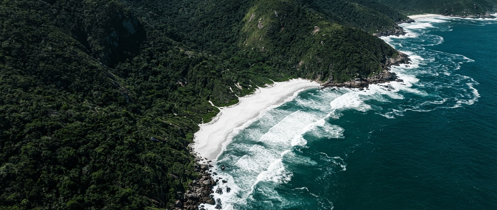 Vista aérea da Ilha de Florianópolis entre o verde da mata e o azul do mar